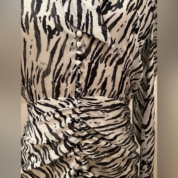 Zebra patterned Dress - Picture 4 of 9